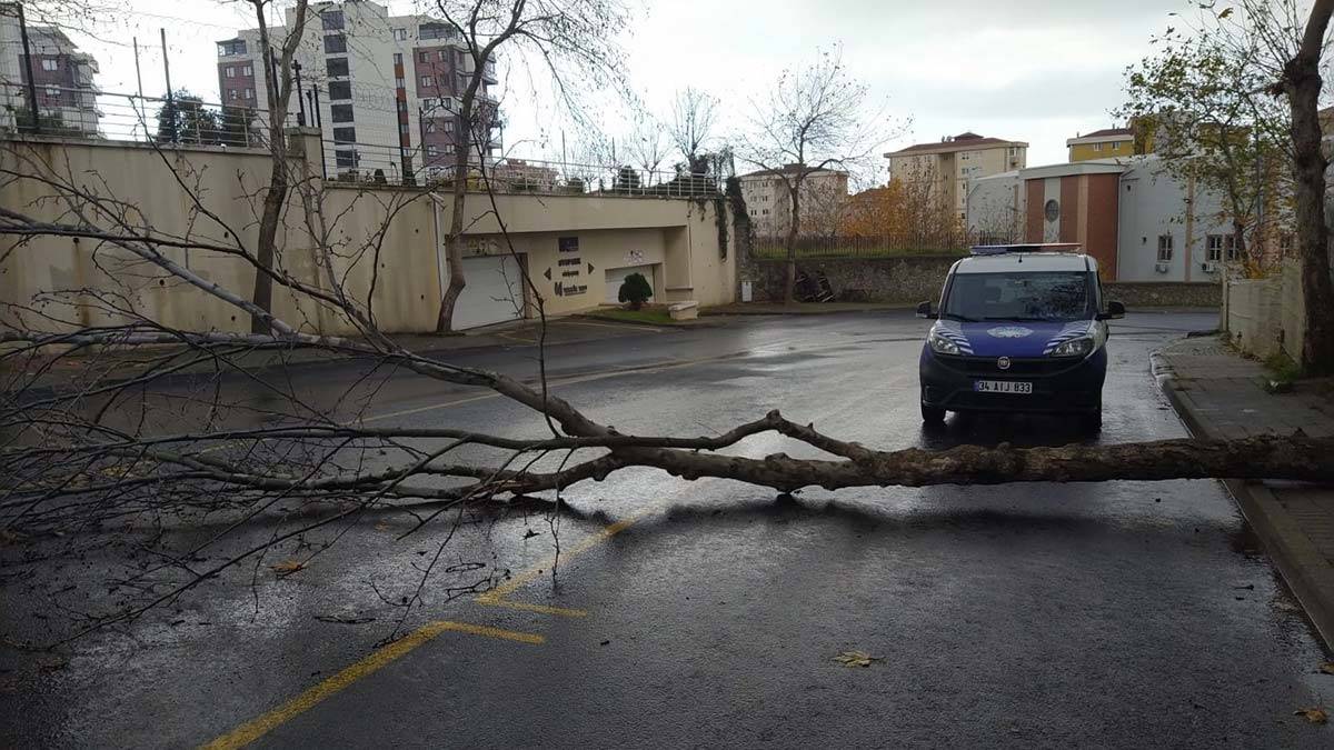 Lodos fırtınası nöbeti