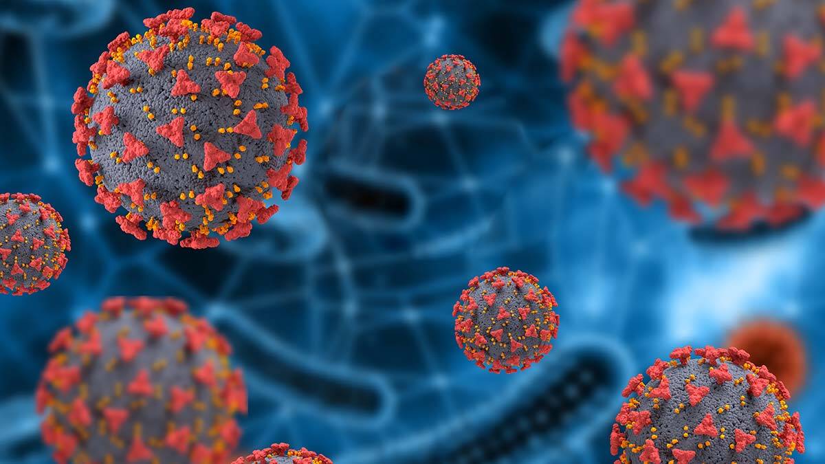 Bakan Koca haftalık vaka haritasını açıkladı