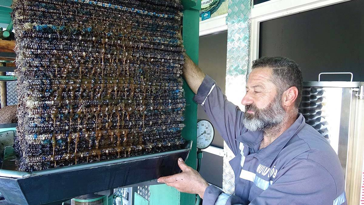 Balıkesir’in Ayvalık ilçesinin kırsal Mutlu Mahallesi Muhtarı Erdinç Tügen, zeytin sıkımında kullanılan 150 yıllık taş baskı sistemini, il il gezerek tanıtmak için kamyonuna monte etti.