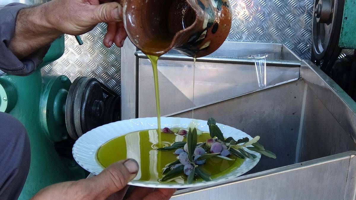 150 yıllık taş baskı sistemini il il tanıtacak