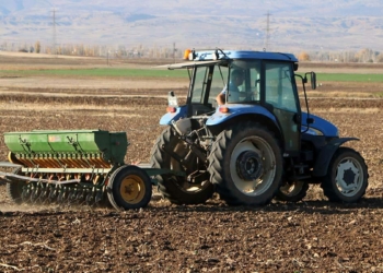 Kuraklık, arpa ve buğday üretimini etkiledi