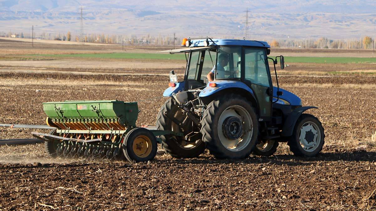 Kuraklık, arpa ve buğday üretimini etkiledi