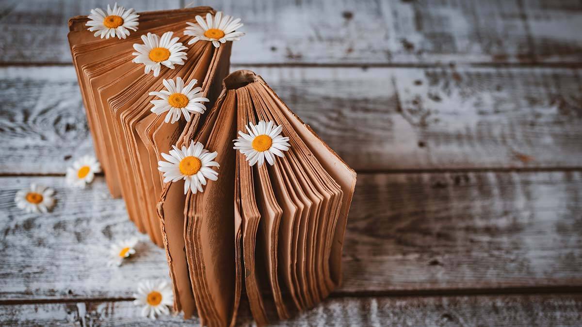 En iyi dostumuz, anılarımız