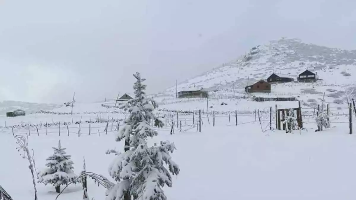 Ordu'da yaylalar beyaza büründü