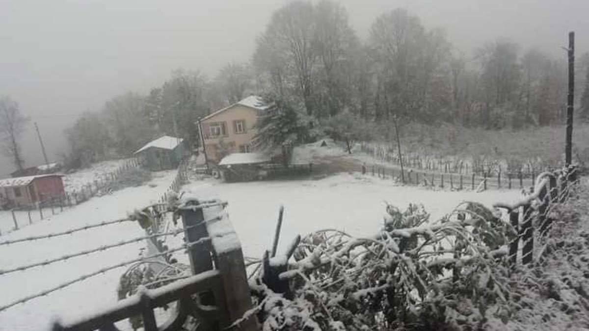 Ordu'da yaylalar beyaza büründü