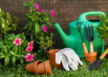 Evde çiçek bakmak bir terapi