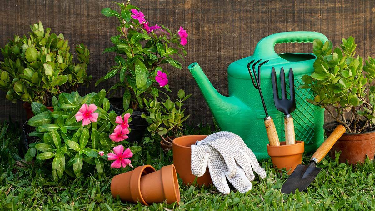 Evde çiçek bakmak bir terapi