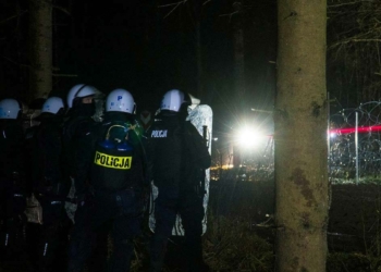 Sığınmacı gerginliğine Rus milletvekili dahil oldu