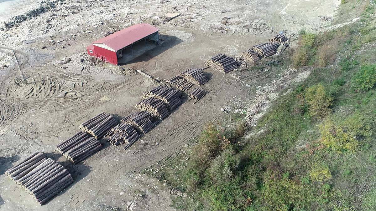 Sinop'ta 11 Ağustos’ta 24 saatte metrekareye düşen 240 kilogram yağışın ardından meydana gelen selde yıkıma yol açan tomruklar, dere yatağında.