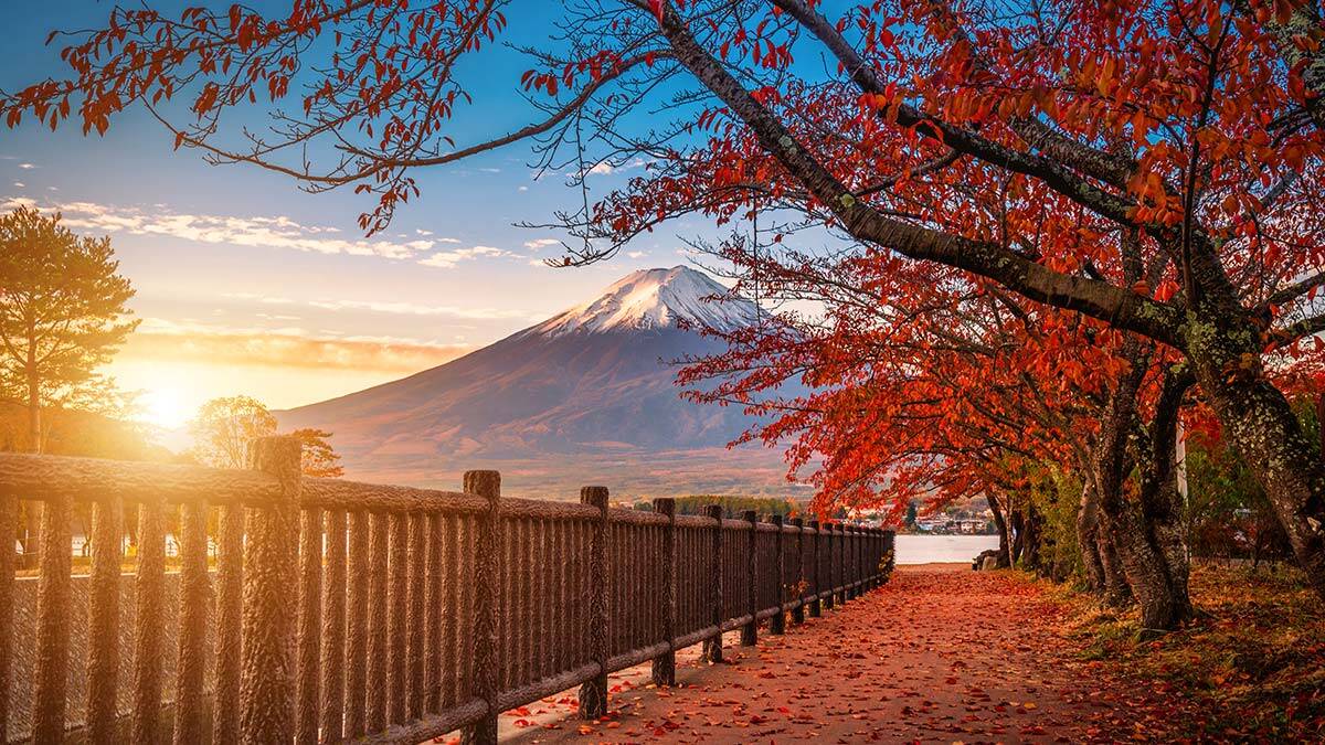 Sonbahar akşamı anıları!