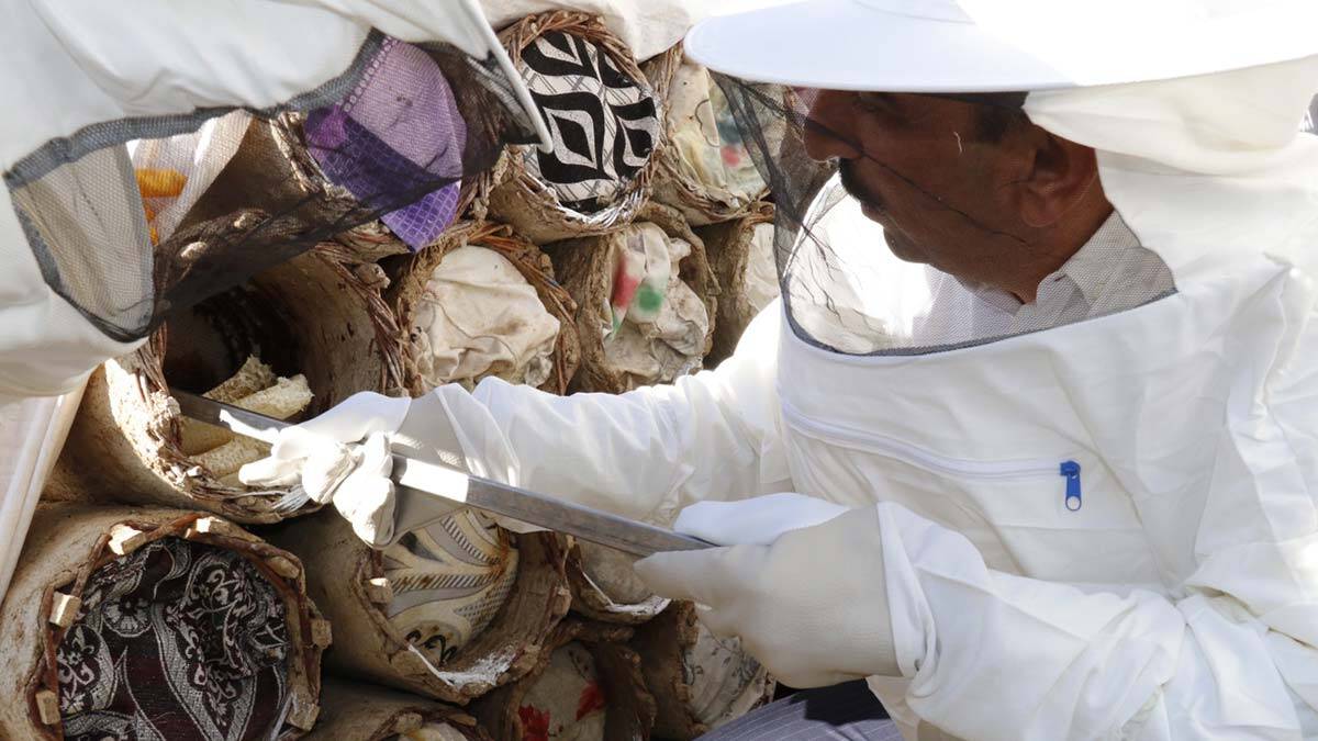 Çemikari Yaylası'nda bal hasadı yapıldı