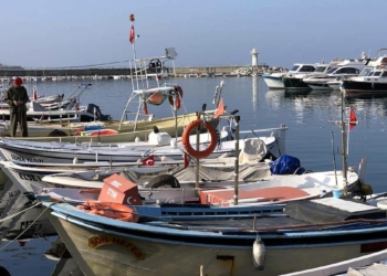 Yem fabrikaları için yapılan avlanmaya kota talebi