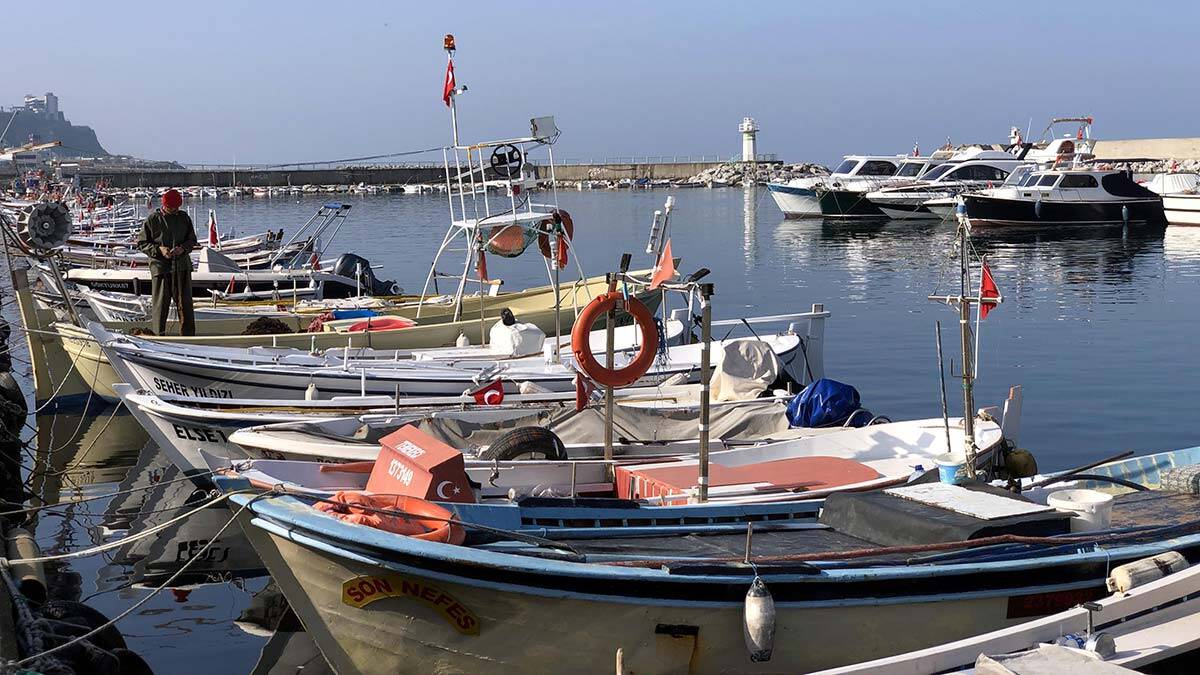 Yem fabrikaları için yapılan avlanmaya kota talebi