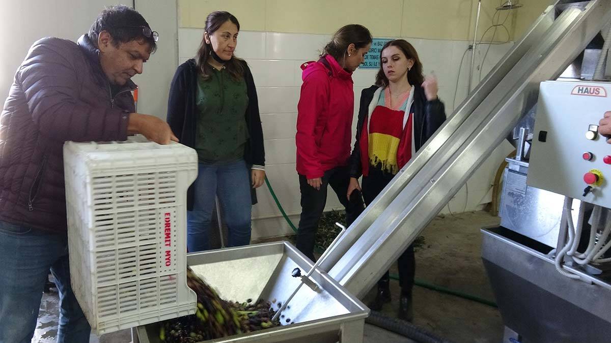 Zeytincilik Enstitüsü Müdürü ve Edremit Meslek Yüksekokulu Zeytincilik Bölüm Başkanı Dr. Öğretim Üyesi Tuğba Öncül Abacıgil de “Öğrencilerin üniversitemizi tercih etmelerindeki neden, yeni modern teknikleri öğrenmek, geleneksel metot içerisinde yanlış bilinen uygulamaları doğruya çevirmek” dedi.