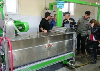 Zeytinciliği akademik olarak öğreniyorlar