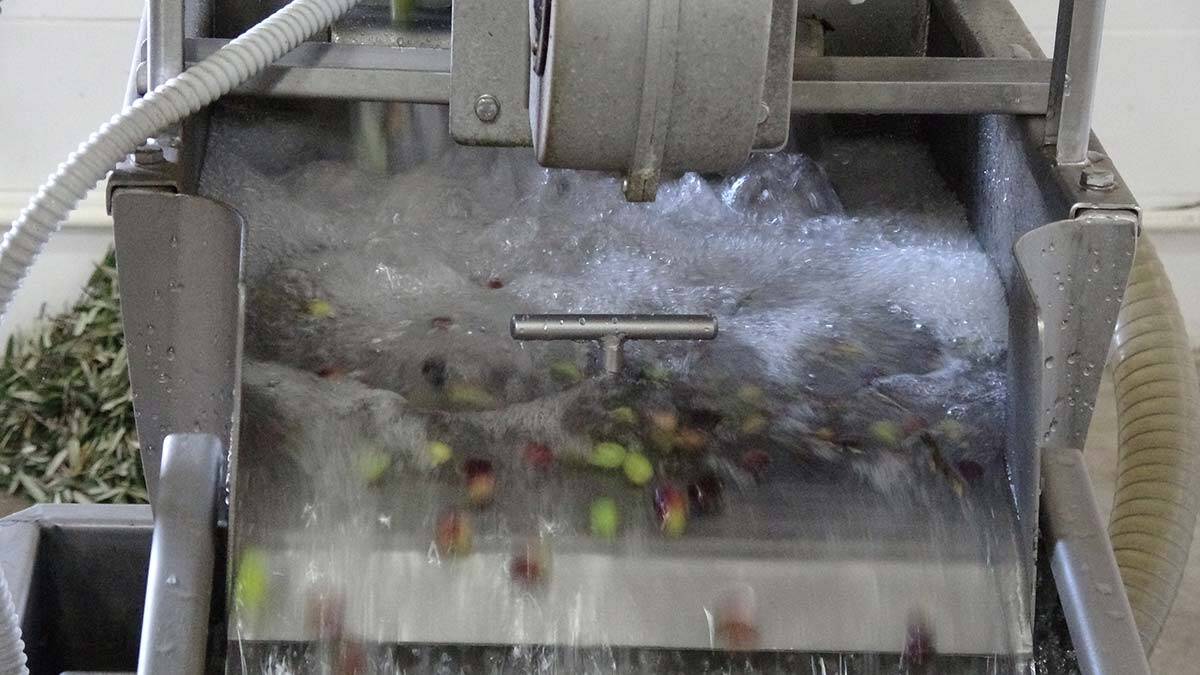 Balıkesir Üniversitesi'ne bağlı Edremit Meslek Yüksekokulu Müdürü Doç. Dr. Raif Sakin, bölümden mezun öğrencilerin zeytinciliği akademik olarak öğrendiklerini belirtti. 