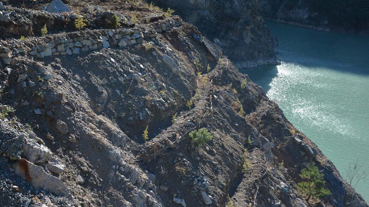 1 milyon hektarlık alan erozyondan kurtarıldı