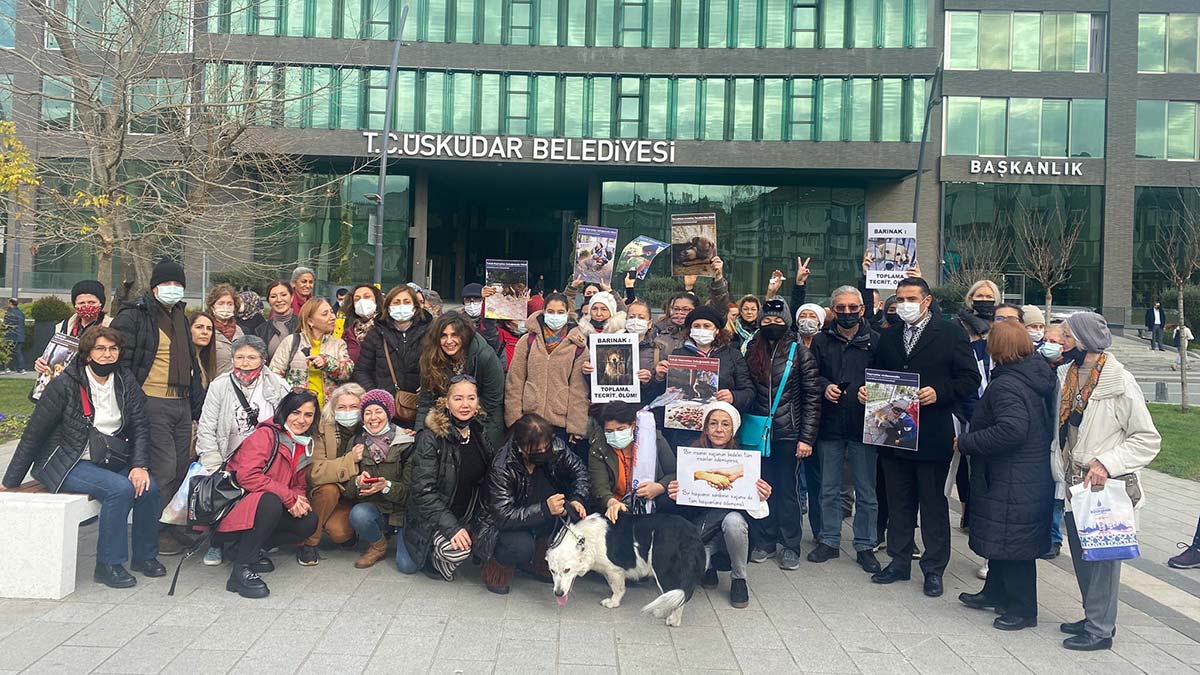 "Yeni Hayırsızada katliamına hayır"