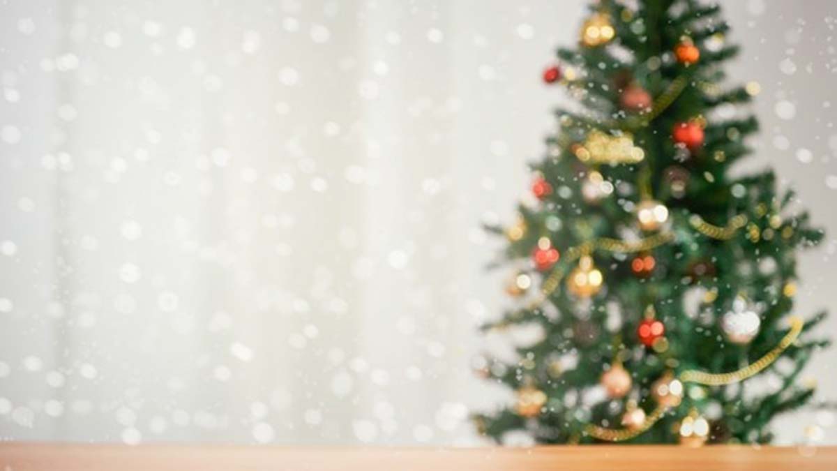 " 2033'de Türkiye 9 Dünya 6 rakamının evrensel enerjisinin etkisine giriyor"