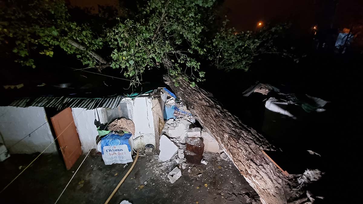 40 yaşındaki ağaç evin üzerine devrildi
