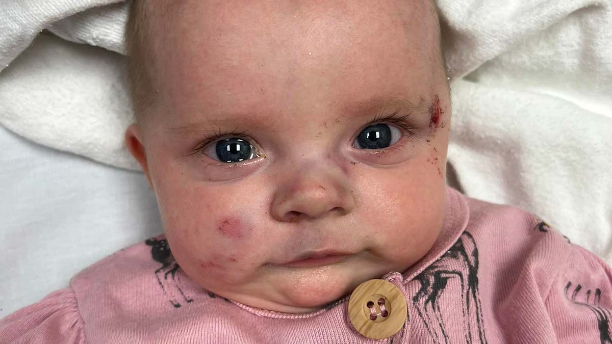 Kentucky başta olmak üzere sekiz eyalette iki gün içinde 50 hortum bildirildi