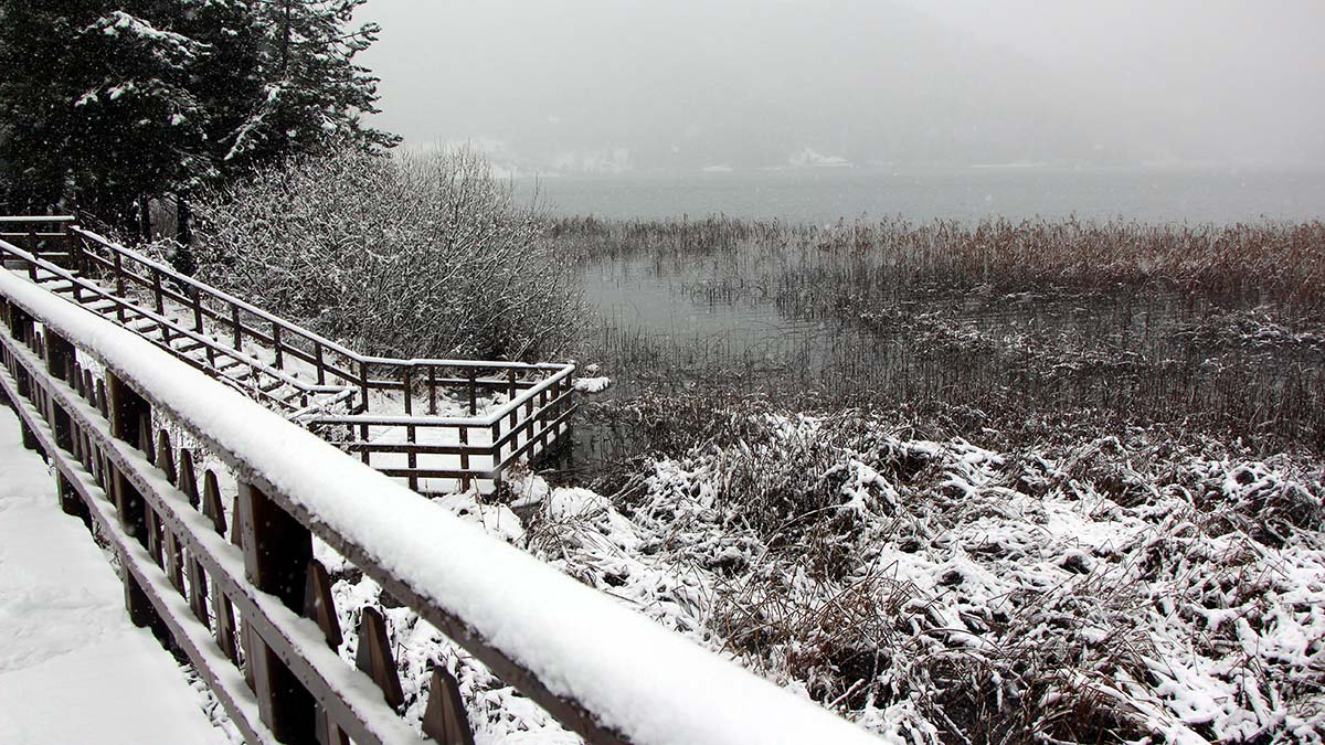 Abant Tabiat Parkı beyaz örtüyle kaplandı