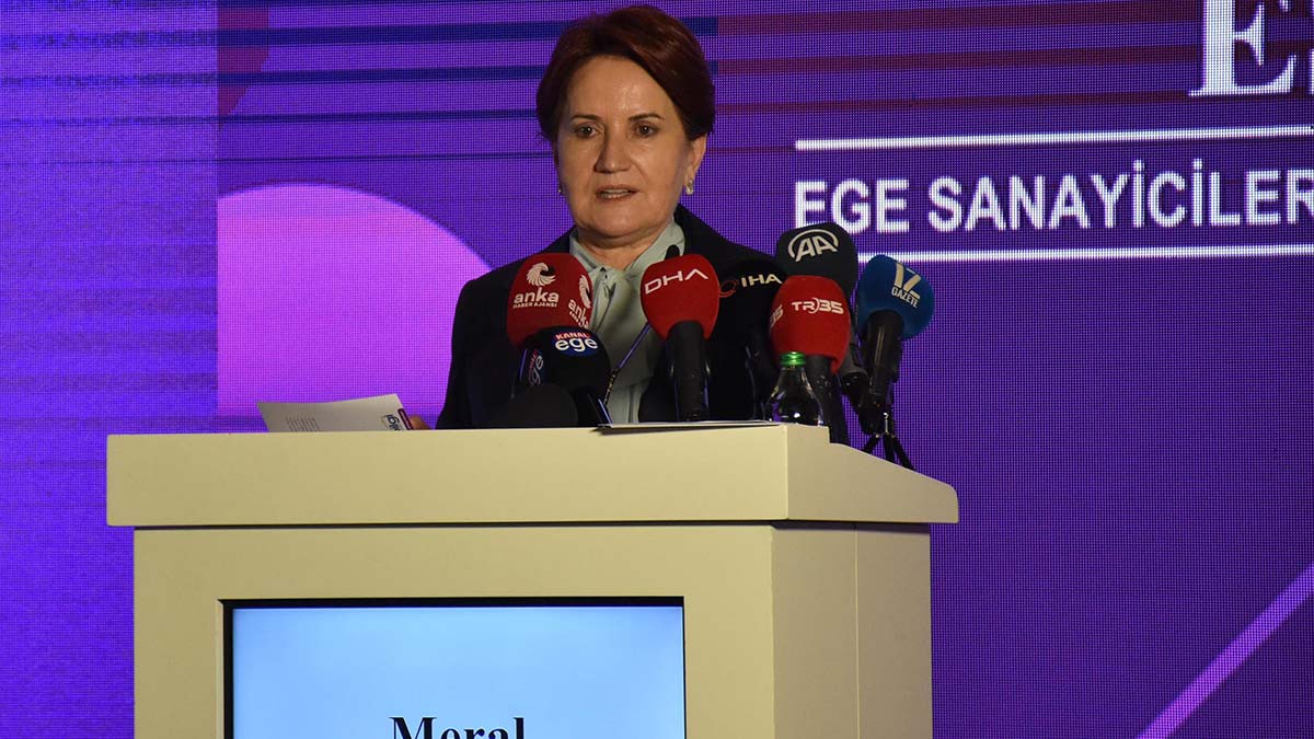 " Türkiye, dünyanın gidişine ters bir yönetim anlayışıyla partili cumhurbaşkanı sistemine geçti"