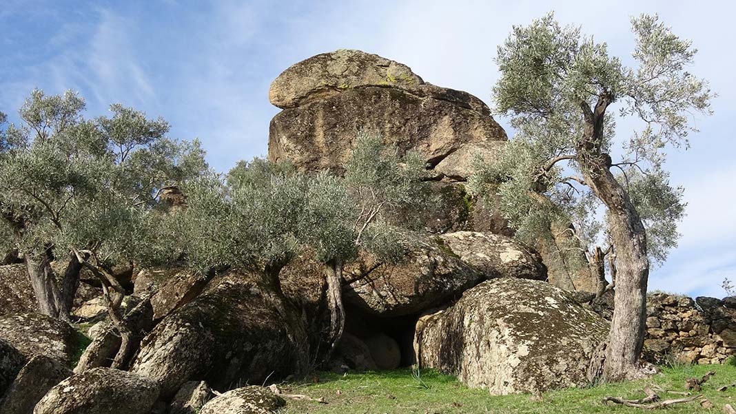 " Mağara resimleri bulduk. Resimler görülebilir düzeyde korunmayı başarmış."