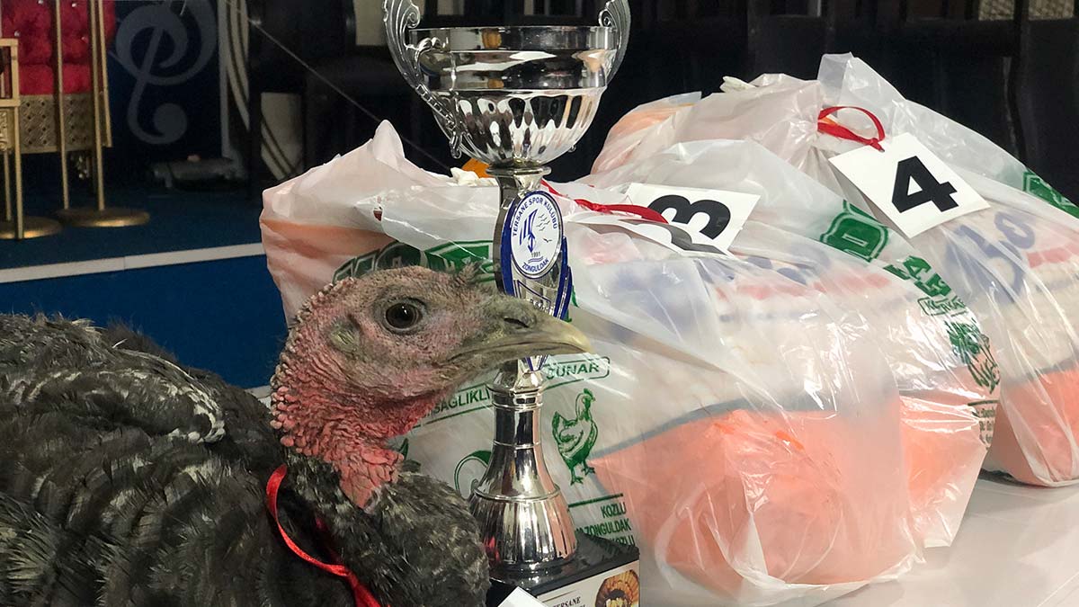 Amatör futbol takımına destek için okey turnuvası