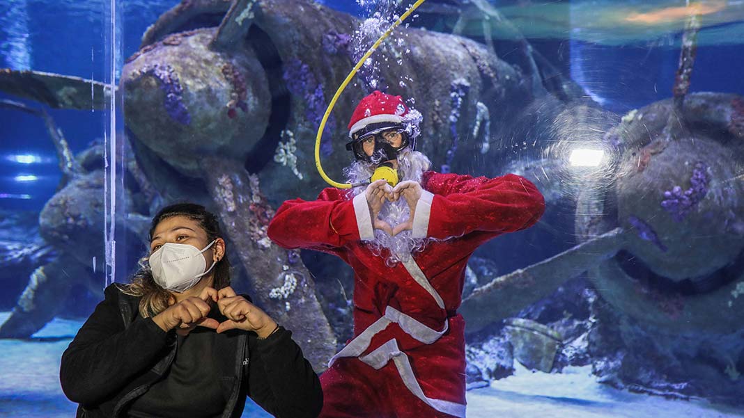 Antalya Akvaryum'da yılbaşına özel animasyon