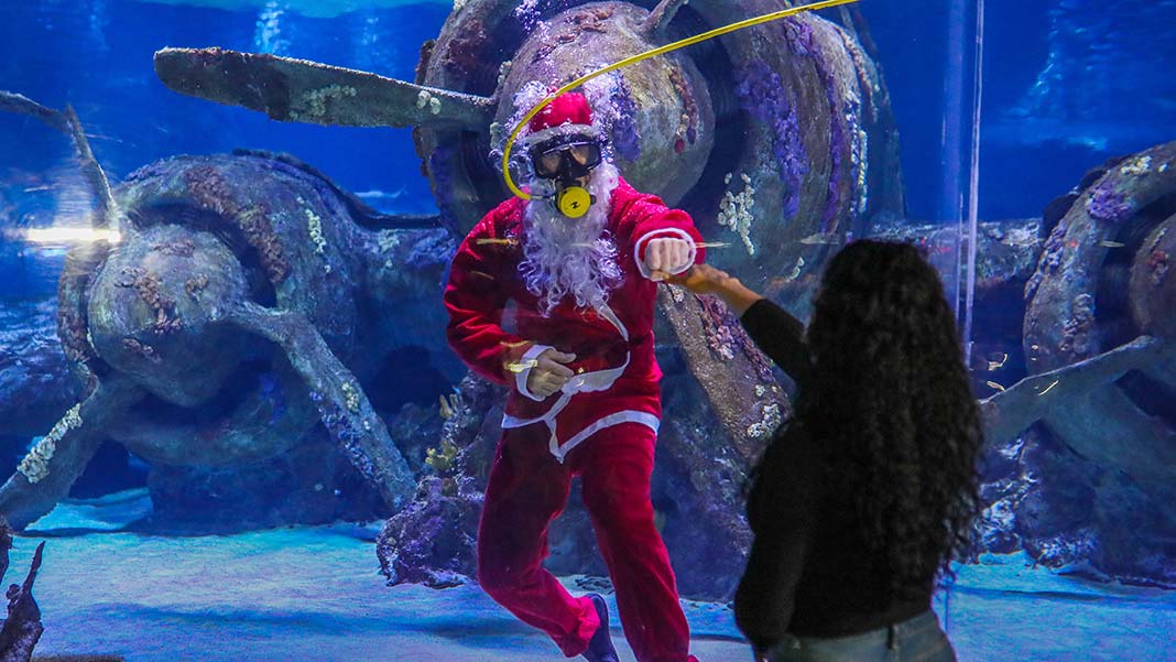 "Balık görmeyi bekliyordum, Noel Baba gördüm"