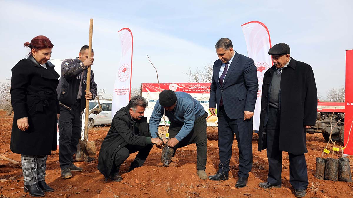 " Şu ana kadar çiftçilerimize 3 bin erkek fidan dağıtımı yaparak bahçelere ekimine katkı sağladık."