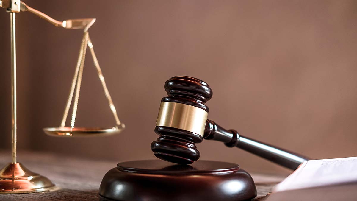 Asiye'nin yaralandığı pitbull saldırısına 2 tutuklama