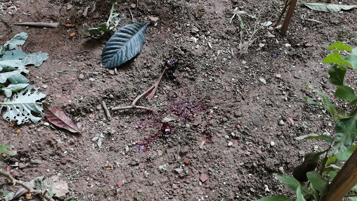 Bağcılar'da bulunan bebek için inceleme sürüyor