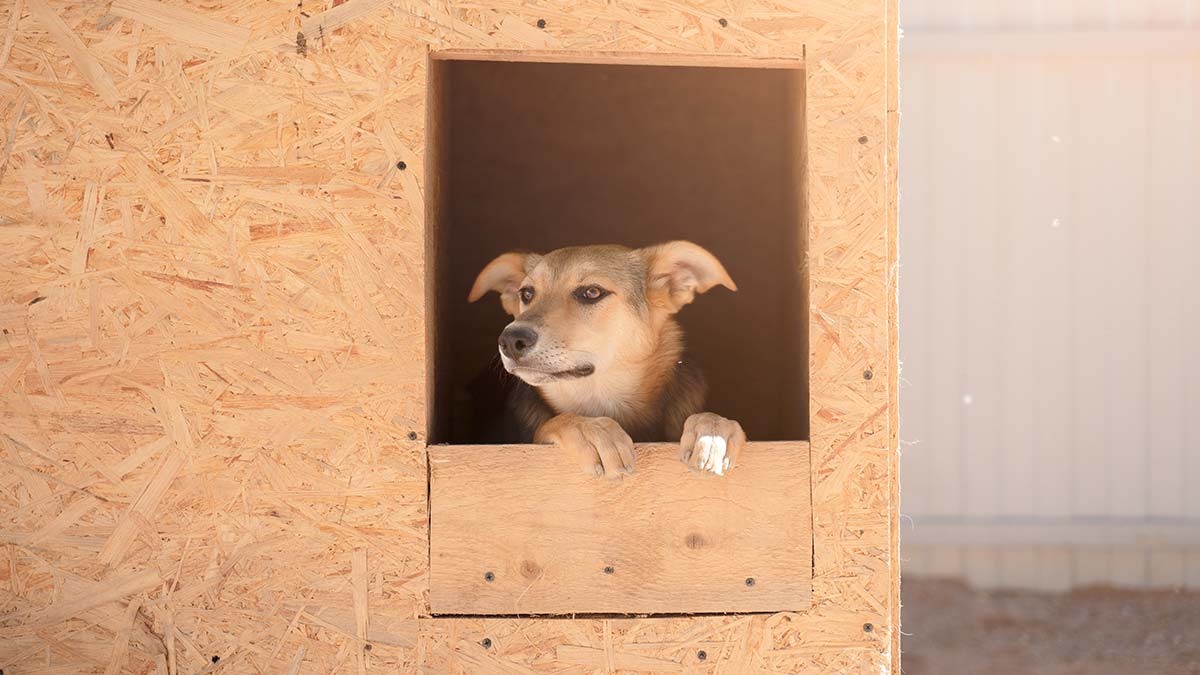 Bakanlıktan 81 il valiliklerine genelge