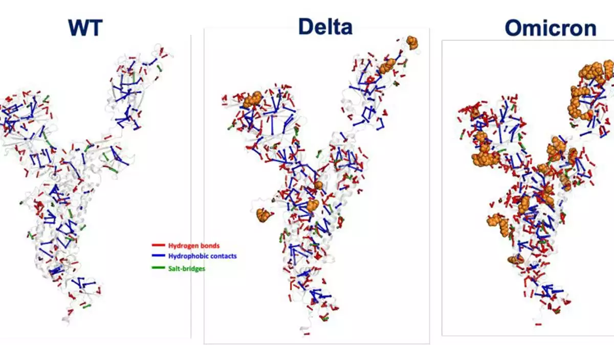 Omicron, akciğer dokusunda kendini 10 kat daha düşük kopyalayarak hastalığın şiddetini düşürdüğünü tespit etmişti.