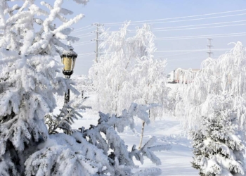 Bitlis'te hava sıcaklığı eksi 20 derece