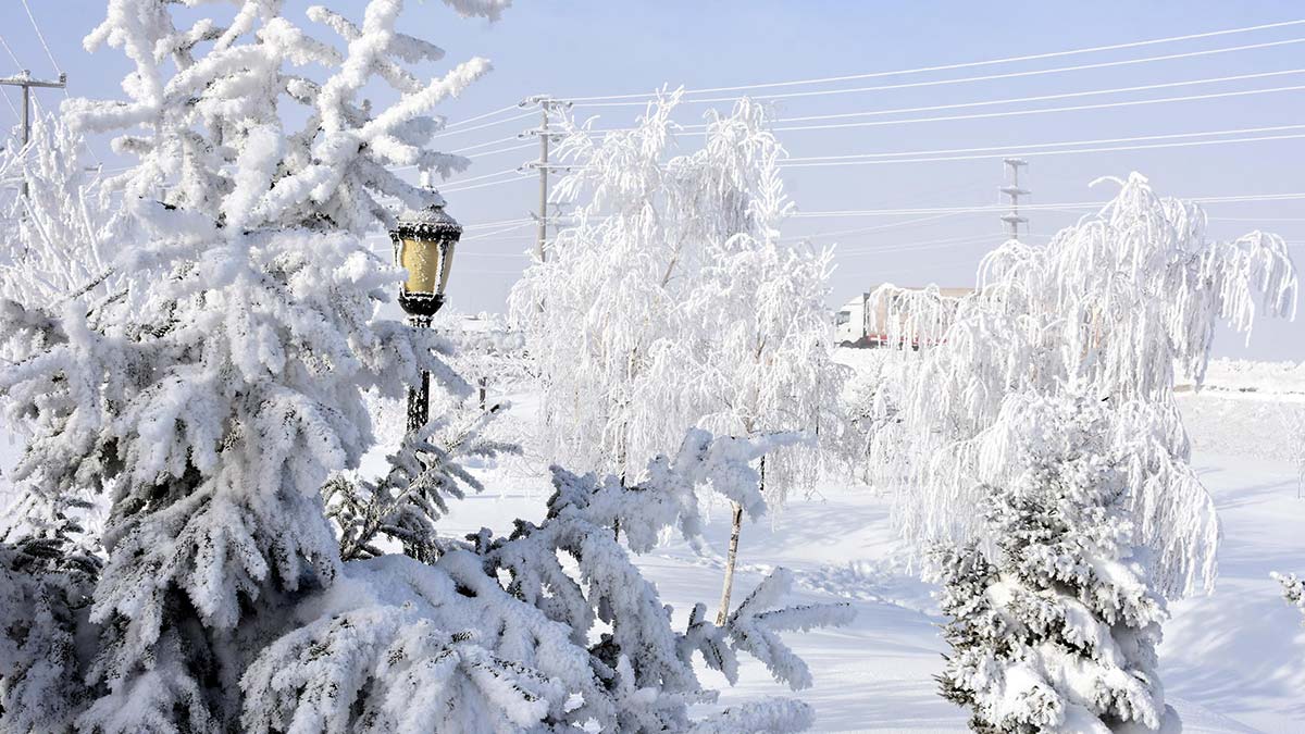 Bitlis'te hava sıcaklığı eksi 20 derece