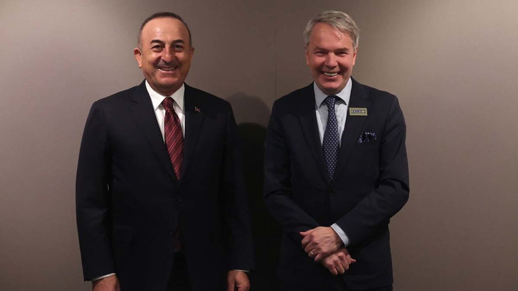 Çavuşoğlu, Finlandiya Dışişleri Bakanı ile görüştü