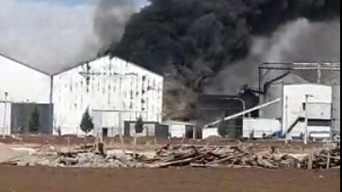 Çorumda bitkisel yağ üretimi yapan fabrikada yangın