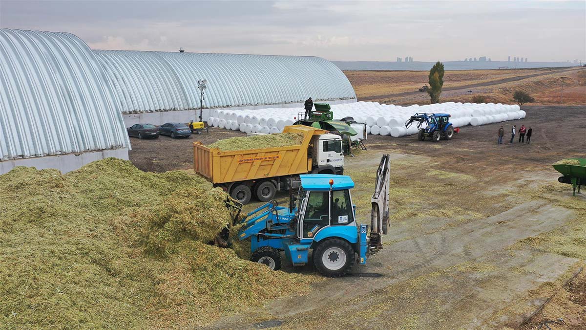 Kadın hayvan üreticilerine yem desteği