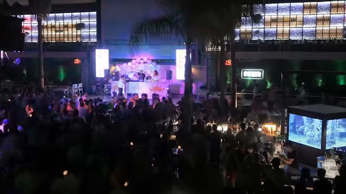 Diskotekteki köpek balığı için nakil kararı verildi