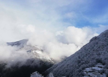Doğu Karadeniz'de kar yağışı nedeniyle okullar tatil