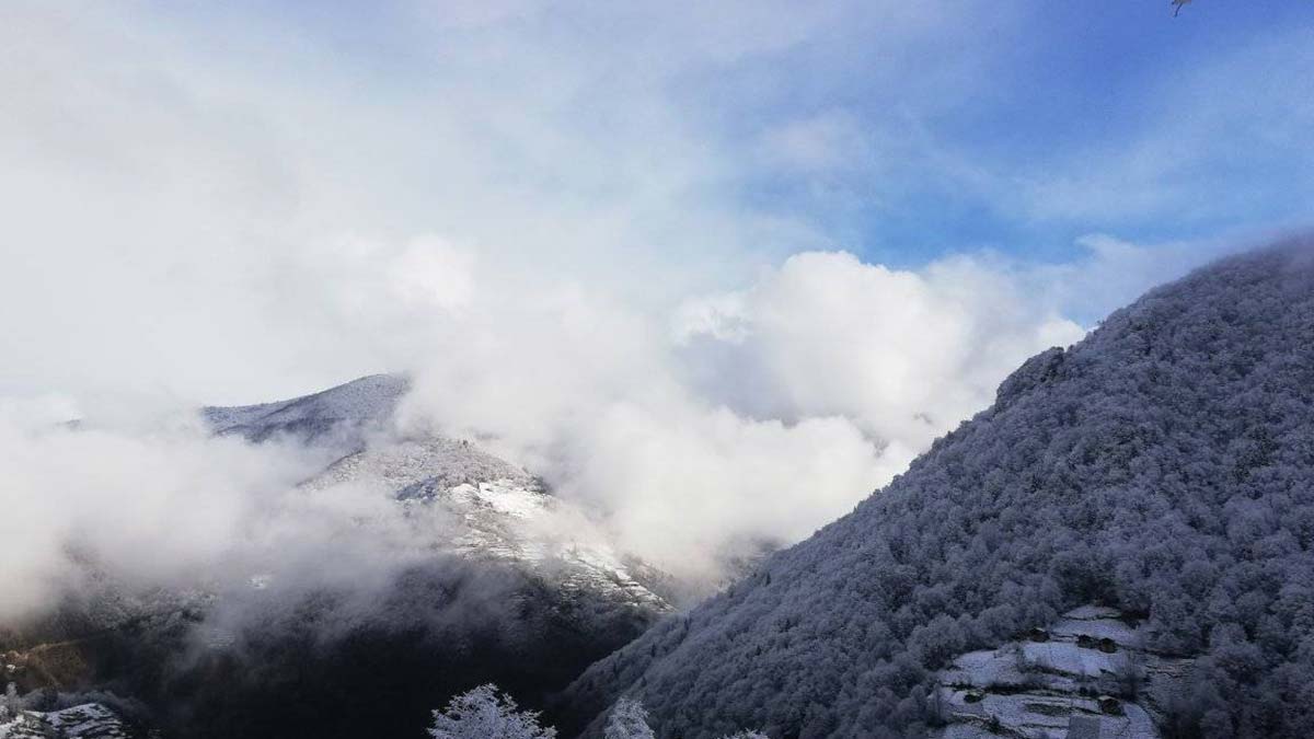 Doğu Karadeniz'de kar yağışı nedeniyle okullar tatil