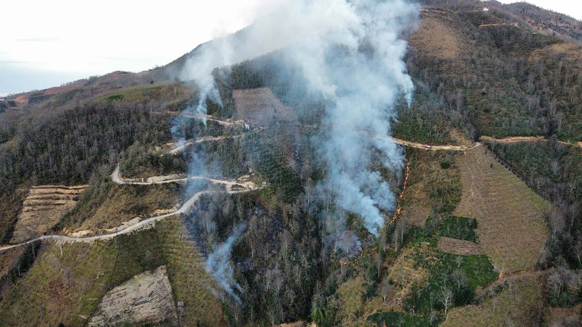 Doğu Karadeniz'de yakılan anızlar yangına neden oldu