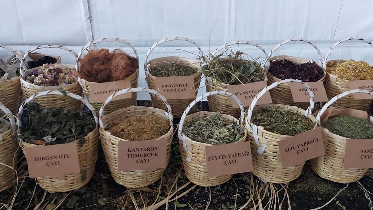 "Bu etkinliğimizin geleneksel hale gelmesini temenni ediyoruz"