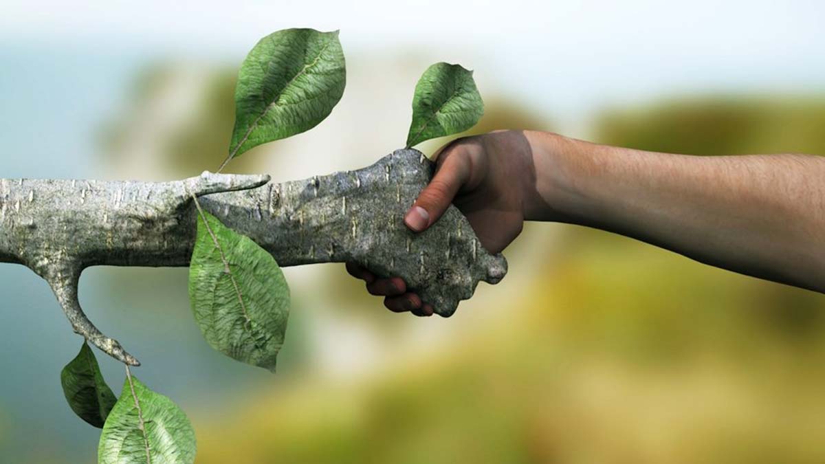 EGİAD Başkanı'ndan Yeşil Kuğu vurgusu