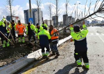 Başkent her mevsim daha yeşil olacak