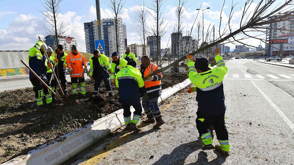 Başkent her mevsim daha yeşil olacak