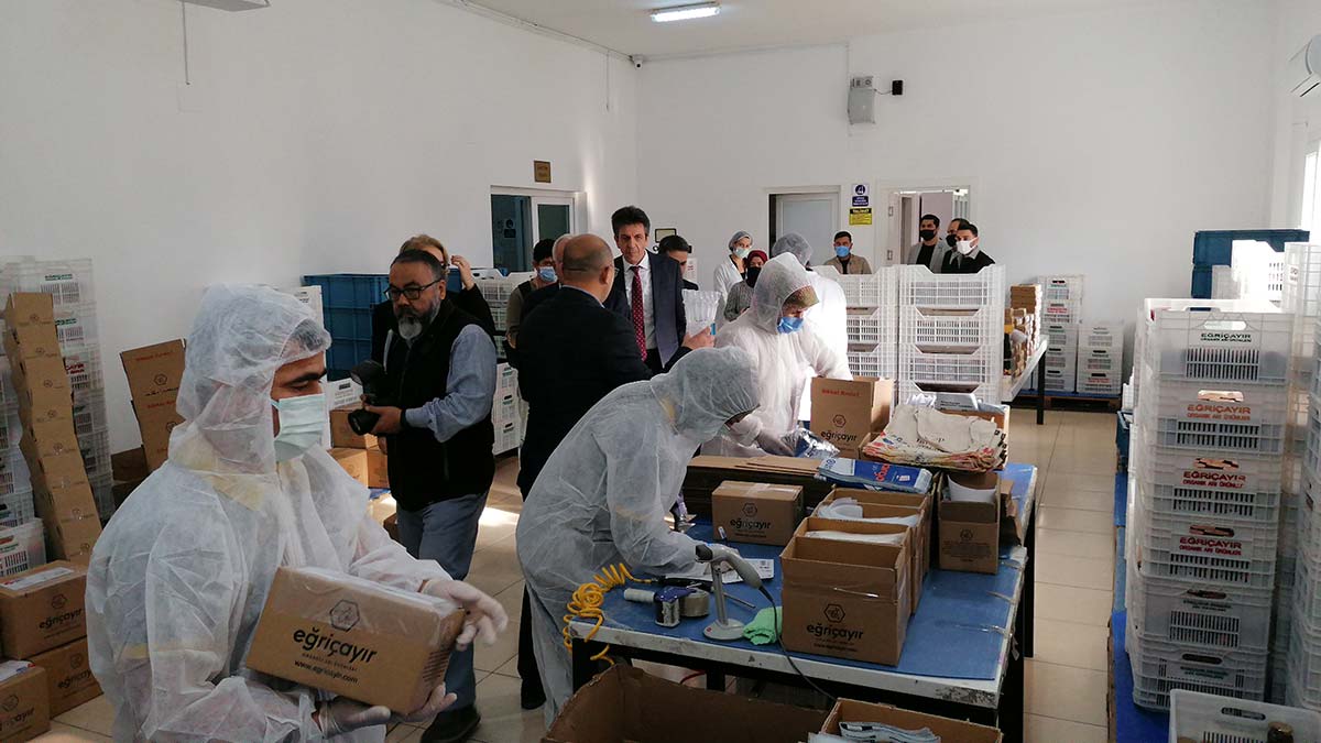 Eğriçayır Yaylası'nın balı Hollanda'ya ihraç edilecek